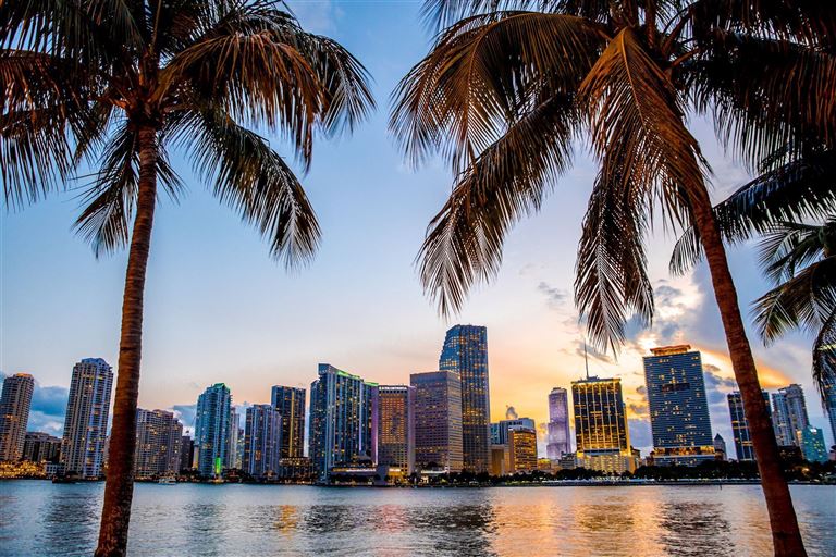 Florida Sunshine State & Beach - Standard ©littleny/adobestock